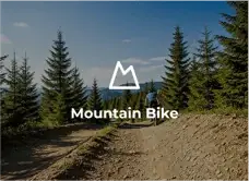Mountain bike em trilha de terra entre árvores